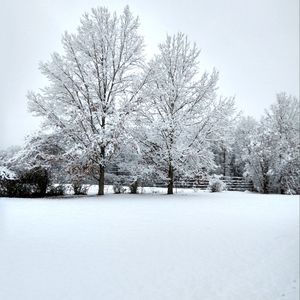 30% off any 3🥶🥶